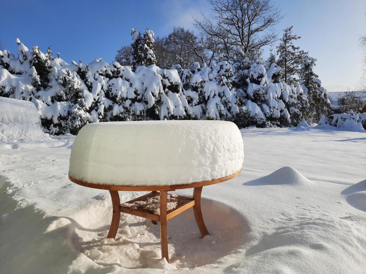 V Prirode Na Okraji Frenstatu Pod Radhostem Apartment Frenštát pod Radhoštěm Bagian luar foto
